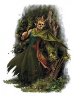 /album/photogallery/forest-gnome-jpg/