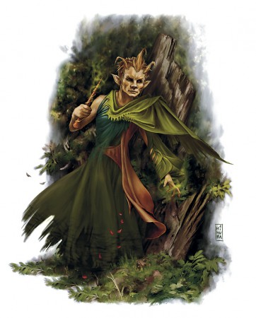 Forest Gnome
